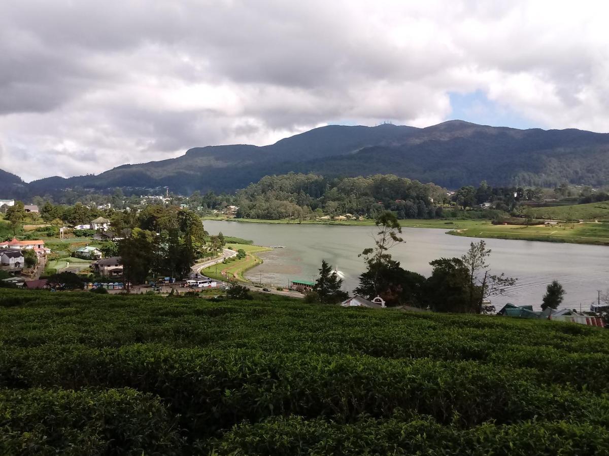 Hotel Eco Creations Nuwaraeliya à Nuwara Eliya Extérieur photo